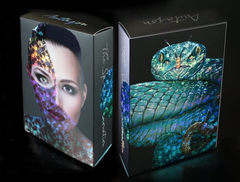 Holographic Boxes 6